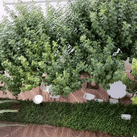 Aidipsos Loutra Edipsou (Evia)