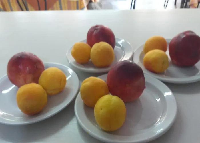 מלון Aidipsos 2*